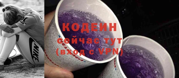 сатива Коряжма