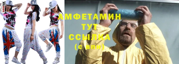 сатива Коряжма