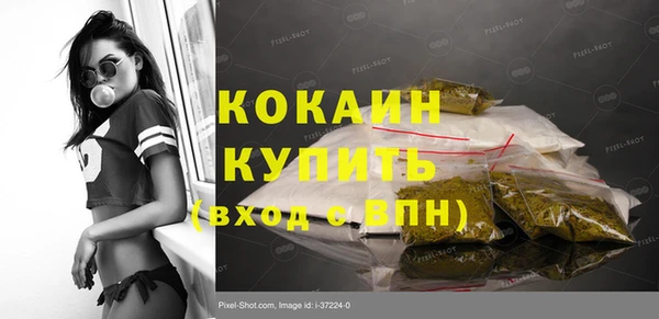 сатива Коряжма