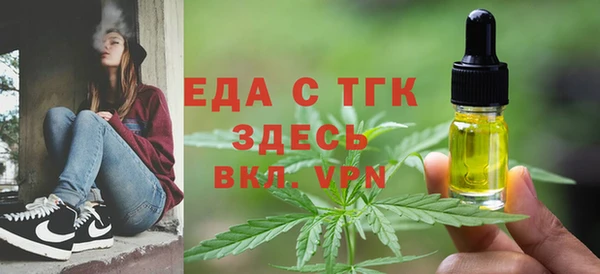 индика Костерёво