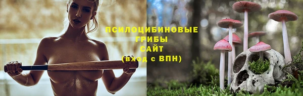 мяу мяу кристалл Корсаков