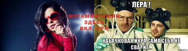 сатива Коряжма