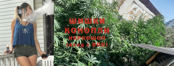 сатива Коряжма