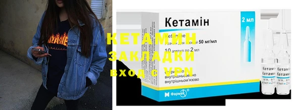 индика Костерёво