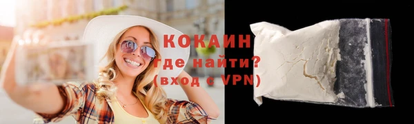 индика Костерёво