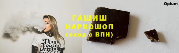 индика Костерёво