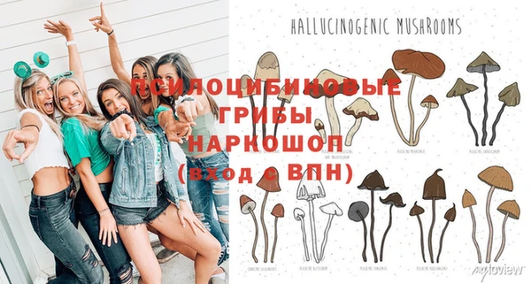индика Костерёво