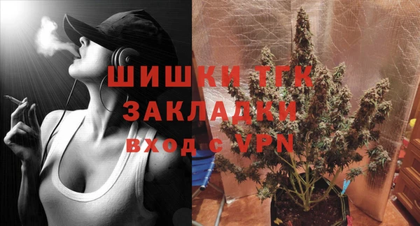 сатива Коряжма
