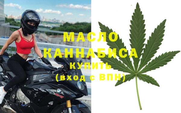 индика Костерёво