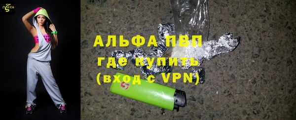 индика Костерёво
