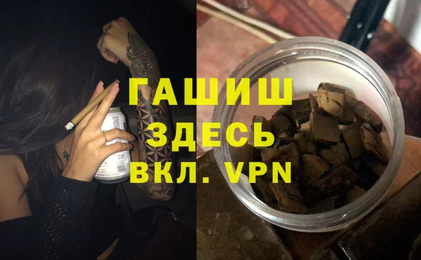 индика Костерёво