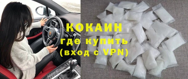 индика Костерёво