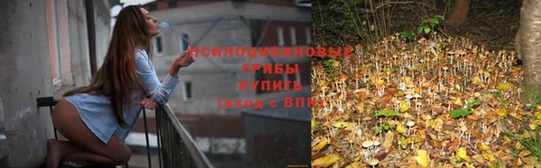 индика Костерёво