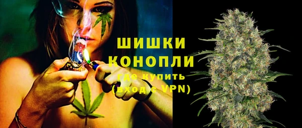 индика Костерёво