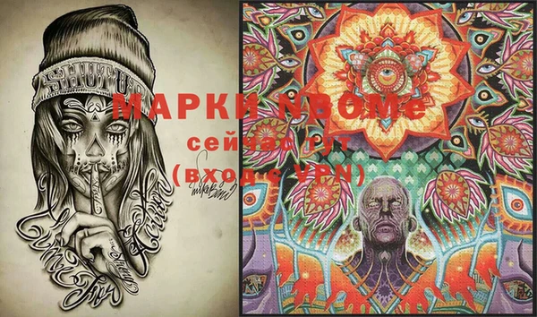 сатива Коряжма