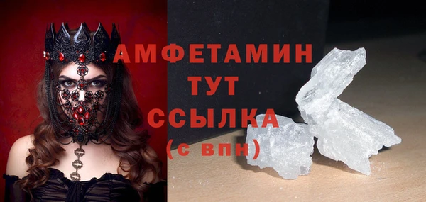 сатива Коряжма