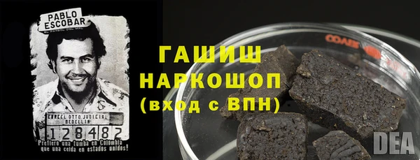 индика Костерёво